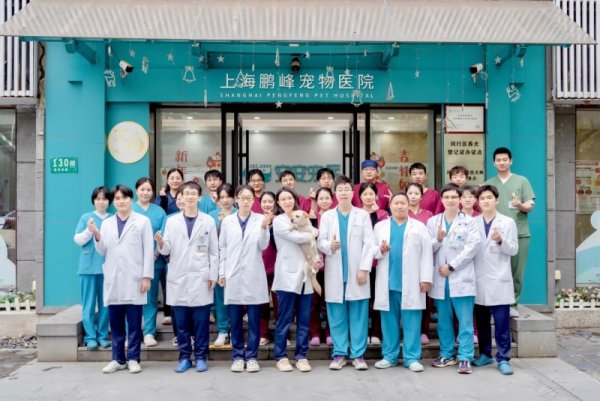 久联优配 新瑞鹏旗下宠物医院血液净化技术革新：成功实施高难度血浆置换治疗，为爱宠带来新生