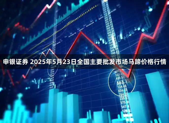 申银证券 2025年5月23日全国主要批发市场马蹄价格行情